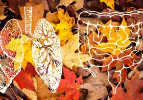 Pljuča in črevesje v jesenskem času + RECEPTI za jesenski detox