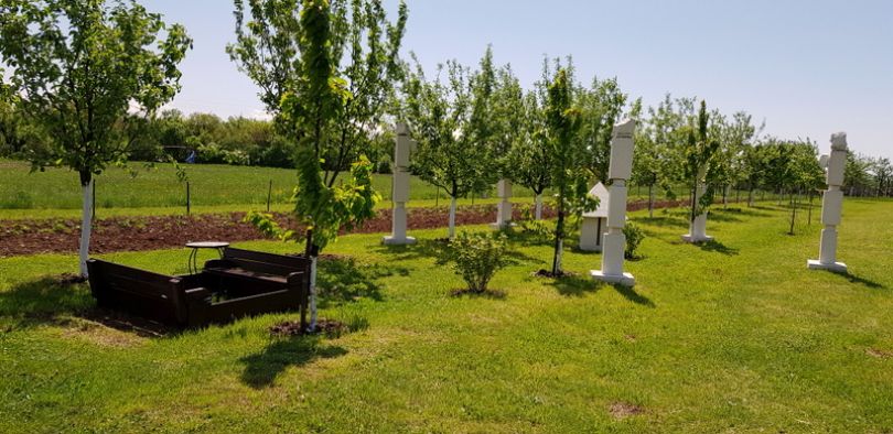 Z DJOTIŠ SEMINARJEM DO TVOJEGA SRČNEGA KOMPASA 1. 6. in   2. 6. 2019.