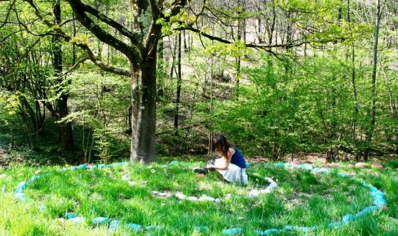 Kako rastline čutijo, pojejo in komunicirajo z nami?