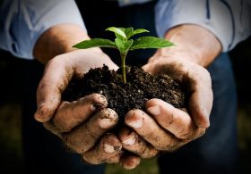 Kakšne so prednosti biološko-dinamične kmetijske pridelave?