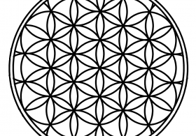 Sveto geometrijo najdemo povsod