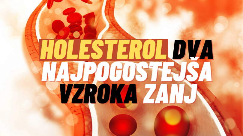 To sta najpogostejša vzroka za visok holesterol