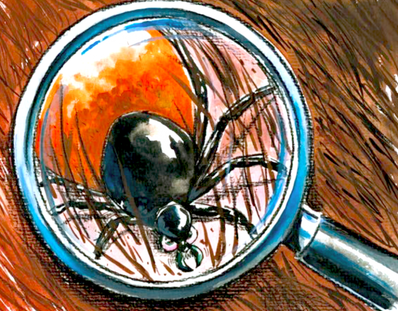 Maria Ana odgovarja: Kako se spopasti s posledicami klopnega meningitisa?