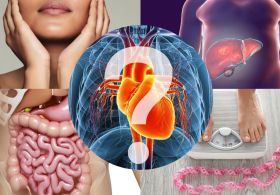 Protokol, ki rešuje kožo, prebavo, kilograme, srce in jetra!