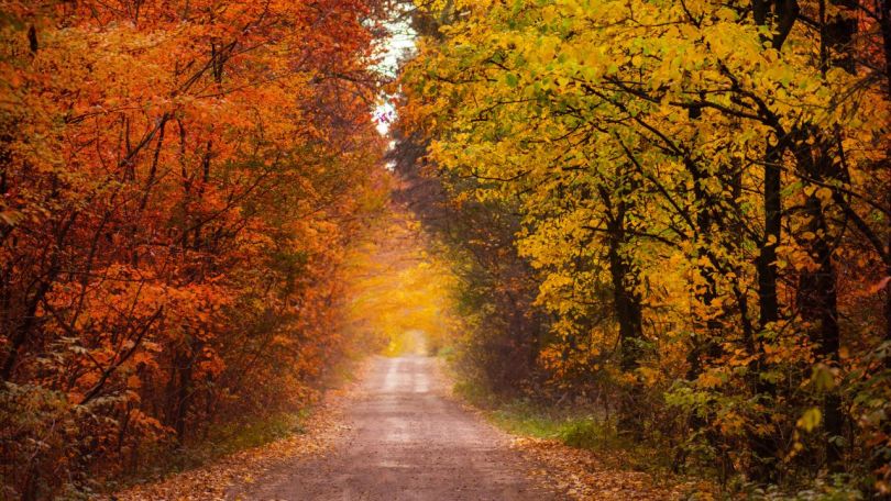 Poletje se uradno poslavlja danes ob osmih zvečer - to bi moral vedeti vsak o jesenskem času