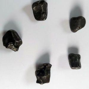 Meteorit Sihote Alin 8-11g