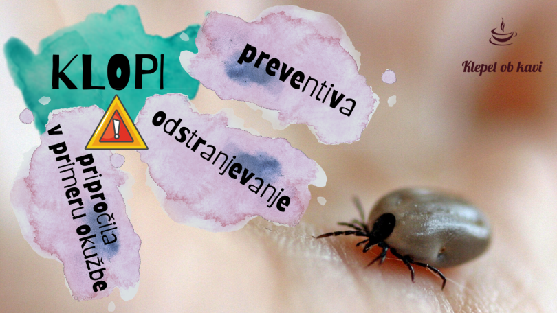 KLOPI: preventiva, odstranjevanje in priporočila v primeru okužbe