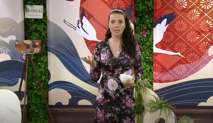 EPIZODA 149: Preživetveni nagon, mehanizem preživetja razložen; Jasmina Kandorfer