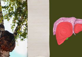 Čaga za zdravje jeter: pomladno čiščenje jeter za zahtevne