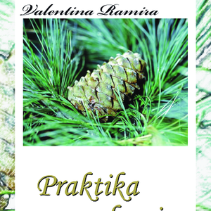 Praktika zdravja