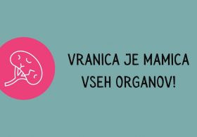 Kaj krepimo v februarju? Ključ do bolj mirnega življenja je vranica!
