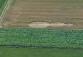 Pismo bralca: nezemeljske aktivnosti v Sloveniji