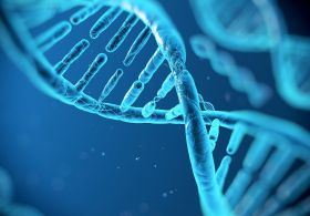 Osnove razumevanja epigenetike