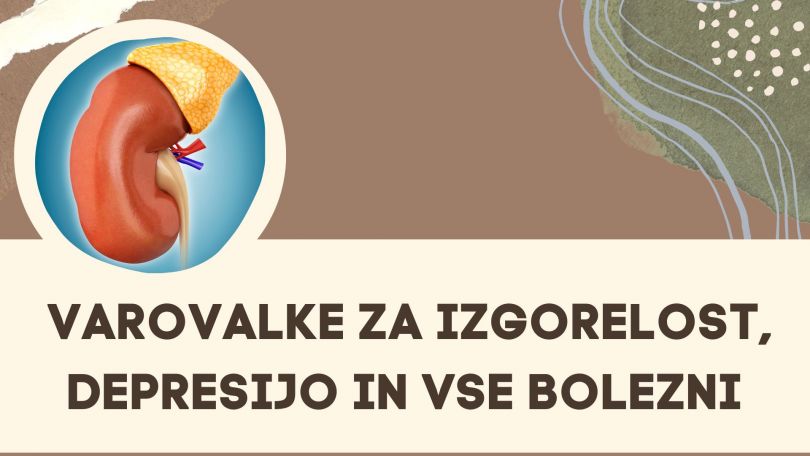 Nadledvična žleza je nas varuje pred izgorelostjo, depresijo in drugimi vrstami bolezni.