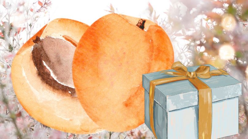 So marelice skrivnost najbolj vitalnih stoletnikov po svetu? + Miklavževo darilo za vas!