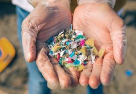 Mikroplastika: kje se nahaja, koliko je zaužijemo in kaj to naredi v našem telesu?