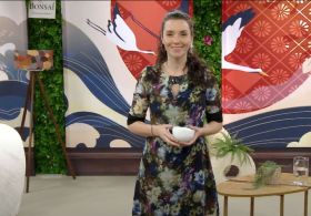 EPIZODA 140: Alge so rešitev za sodobno izčrpano žensko; Jasmina Kadorfer