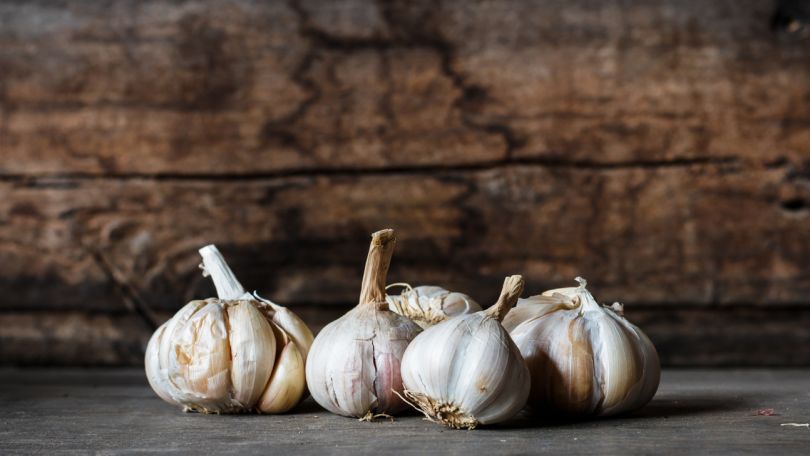 Česen- naravni antibiotik, ki so ga uporabljale že naše prababice
