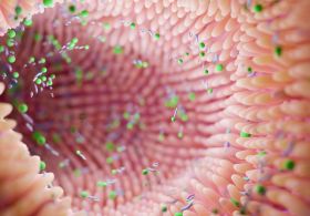 Mikrobiom in imunski sistem: neprecenljiva vez med našim zdravjem in notranjim svetom