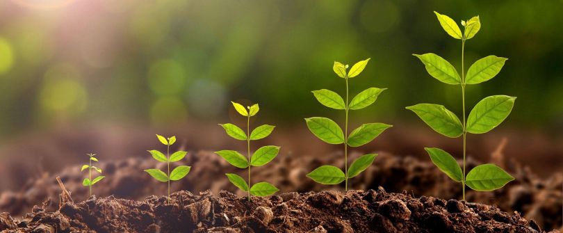 Za vse ljudi, ki bi radi zrasli v življenju! Poslovno, osebnostno, finančno ali pa če si zgolj želijo družino? ZLATA PRAVILA ZA RAST!