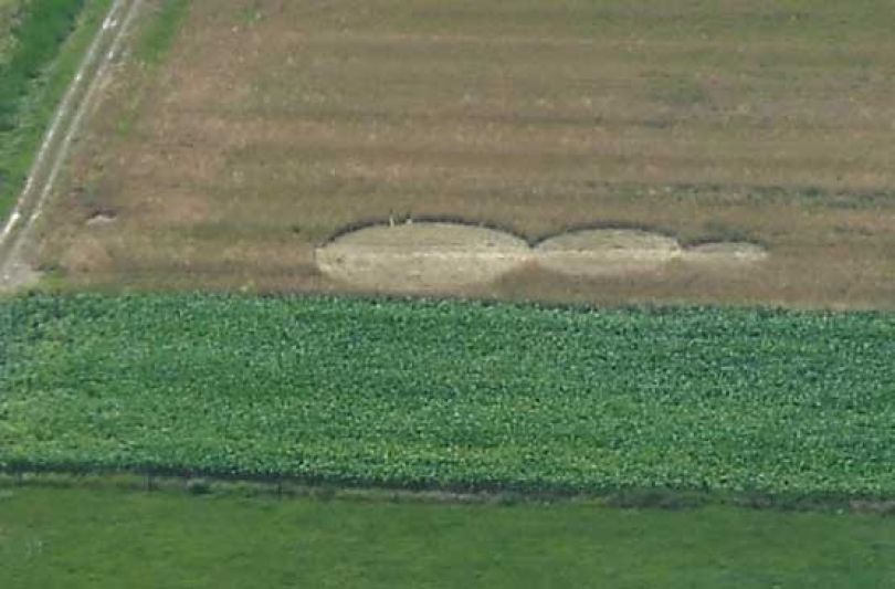 Pismo bralca: nezemeljske aktivnosti v Sloveniji