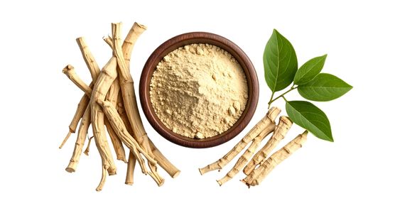 Ašvaganda (Withania somnifera)