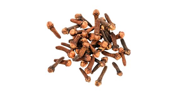 Dišeči klinčevec (Syzygium aromaticum)