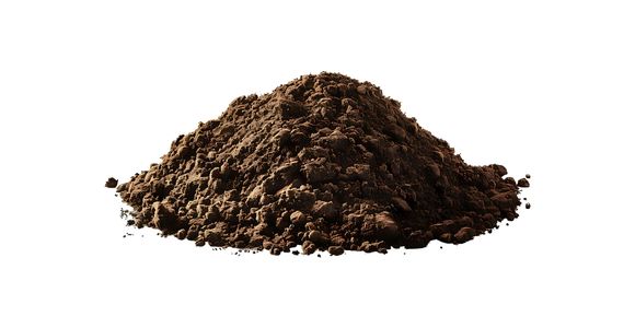 Divji Shilajit (Mumija) v prahu