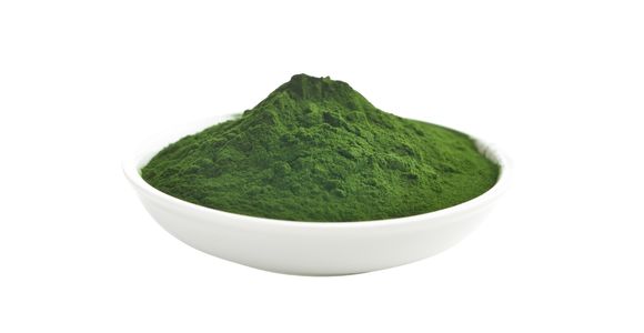 Ekološka alga klorela (Chlorella vulgaris)