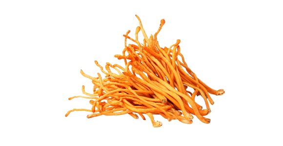 Organski kordiceps (Cordyceps)