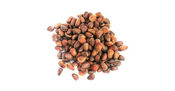 Smola sibirske cedre (Pinus sibirica) – 70 %