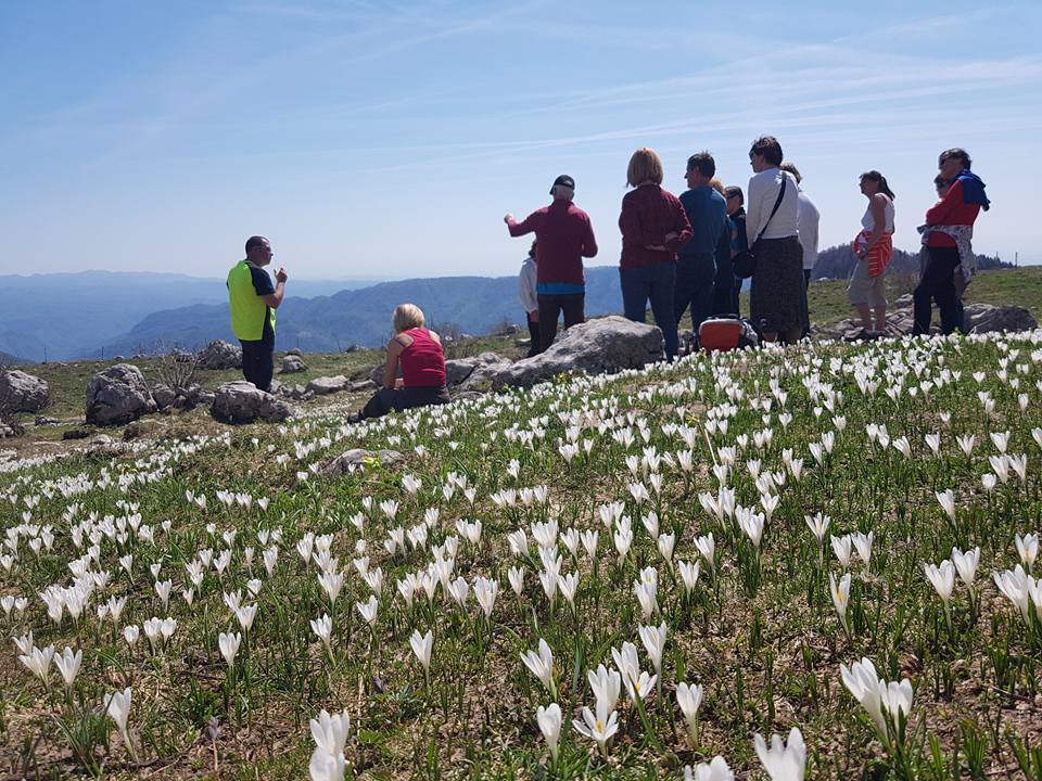 munih izlet posočje 3.jpg