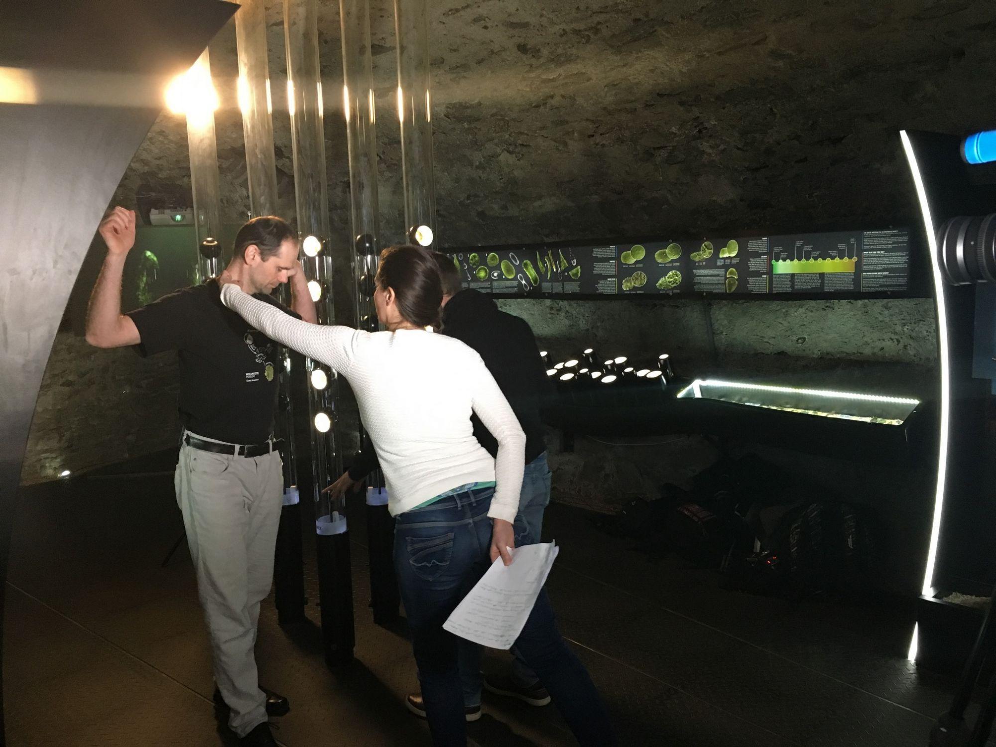 Moldavit IMG_7899.JPG