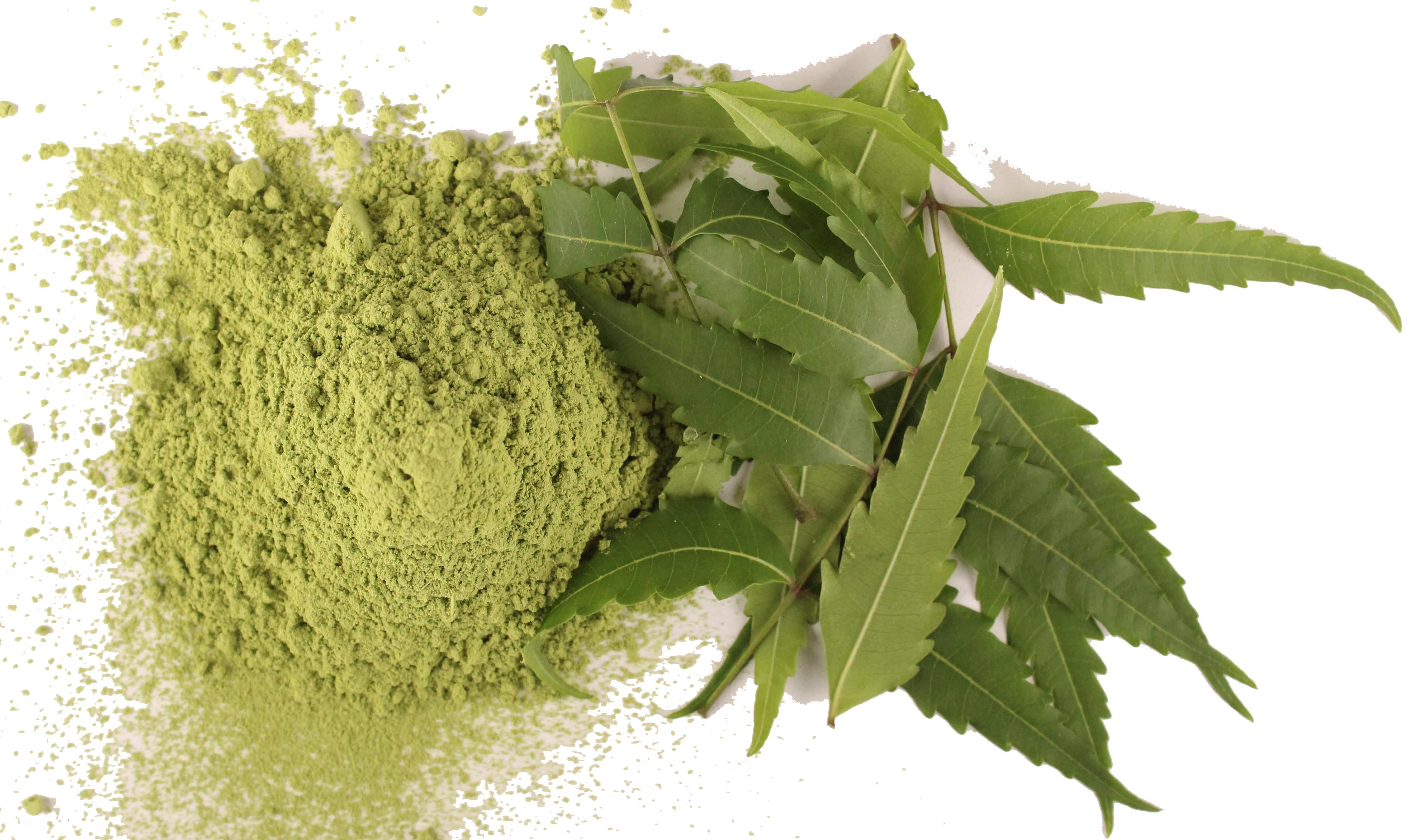 Neem – za ljudi in rastline