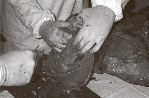 vesoljec - obdukcija.jpg